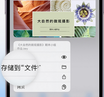 上城apple维修中心分享iPhone文件应用中存储和找到下载文件