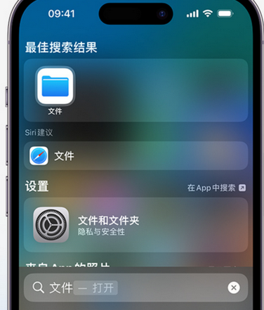 上城apple维修中心分享iPhone文件应用中存储和找到下载文件