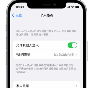 上城apple服务站点分享iPhone上个人热点丢失了怎么办 