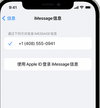 上城apple维修iPhone上无法正常发送iMessage信息 