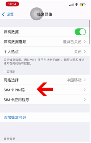 上城苹果14维修网分享如何给iPhone14的SIM卡设置密码 