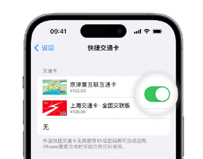 上城apple维修点分享iPhone上更换Apple Pay快捷交通卡手绘卡面 