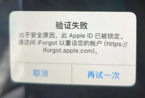 上城iPhone维修分享iPhone上正常登录或使用AppleID怎么办 