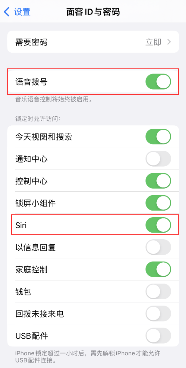 上城苹果维修网点分享不解锁 iPhone 的情况下通过 Siri 拨打电话的方法 