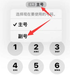 上城苹果14维修店分享iPhone 14 Pro Max使用副卡打电话的方法 