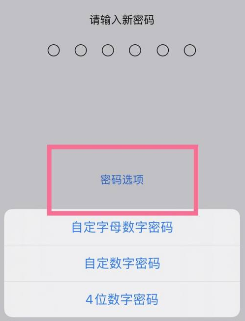 上城苹果14维修分享iPhone 14plus设置密码的方法 