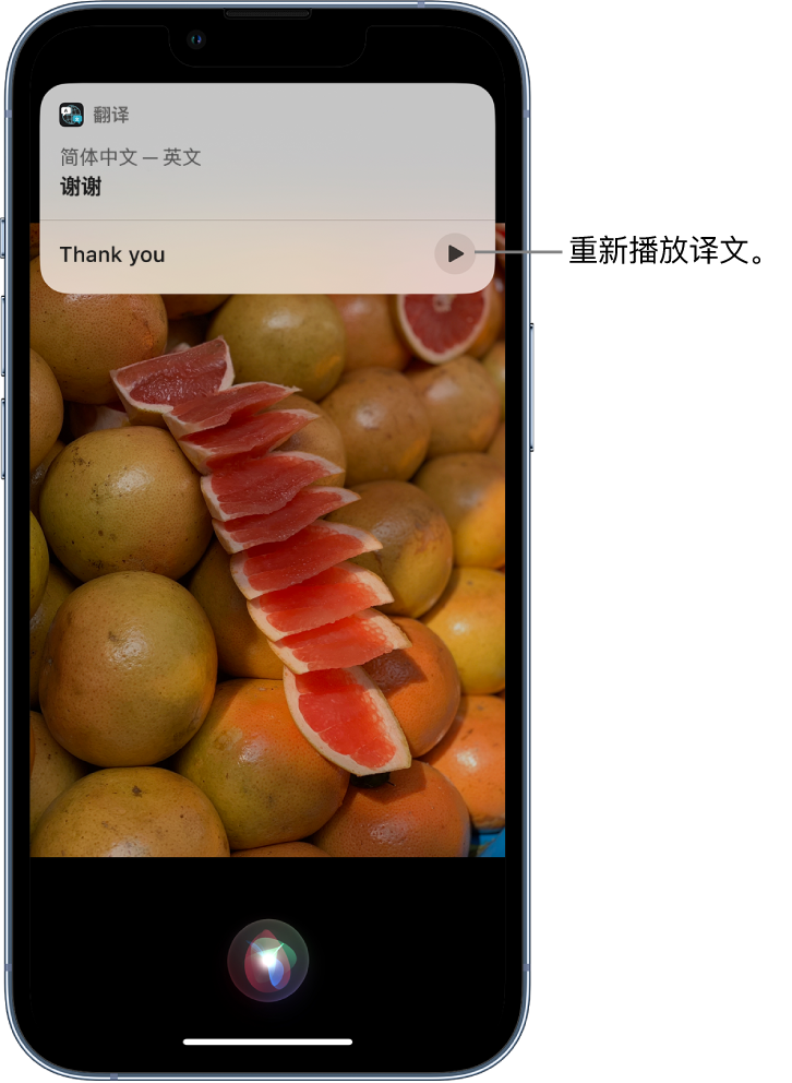 上城苹果14维修分享 iPhone 14 机型中使用 Siri：了解 Siri 能帮你做什么 