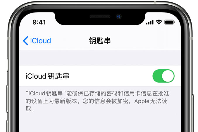 上城苹果手机维修分享在 iPhone 上开启 iCloud 钥匙串之后会储存哪些信息 