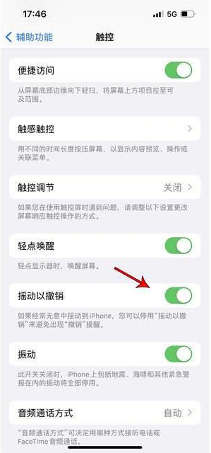 上城苹果手机维修分享iPhone手机如何设置摇一摇删除文字 
