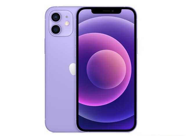 上城苹果手机维修分享现阶段要不要入手紫色版iPhone12 