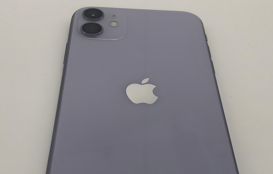 上城苹果11系统维修分享iPhone11手机系统崩溃无法开机如何解决